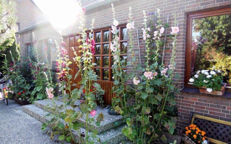 Ferienwohnung-Bei-Familie-Kuehl Fehmarn Extérieur photo
